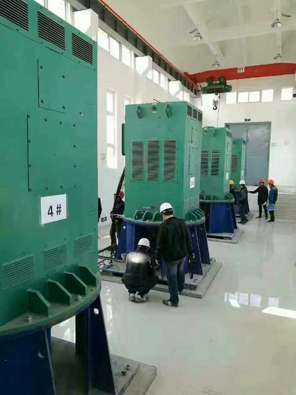 ZSN4-315-082某污水处理厂使用我厂的立式高压电机安装现场