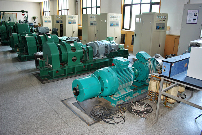 ZSN4-315-082某热电厂使用我厂的YKK高压电机提供动力