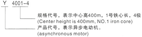 西安泰富西玛Y系列(H355-1000)高压ZSN4-315-082三相异步电机型号说明