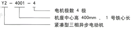 YR系列(H355-1000)高压ZSN4-315-082三相异步电机西安西玛电机型号说明